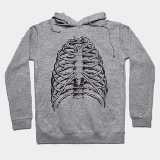 Ribs Hoodie